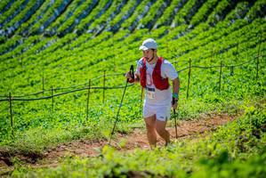 BIB: 156
                            <button type="button" onclick="openModal(19163152)" class="btn btn-primary btn-sm float-right btn-popup" data-toggle="modal" data-target=".modal-high-quality">
                        <i class="fas fa-shopping-cart"></i> Add to Cart
                    </button>
                                            <button type="button" onclick="isThisMe(19163152, true)" class="btn btn-success btn-sm float-right btn-popup btn-isme hidden" data-toggle="tooltip" data-placement="bottom" title="นี่คือรูปของคุณใช่ไหม คลิกที่นี่เพื่อเอาเข้าอัลบั้ม">
                        <i class="fas fa-plus"></i> Add to album
                    </button>
                    <button type="button" onclick="isThisMe(19163152, false)" class="btn btn-warning btn-sm float-right btn-popup btn-isnotme hidden">
                        <i class="fas fa-ban"></i> Remove from album
                    </button>